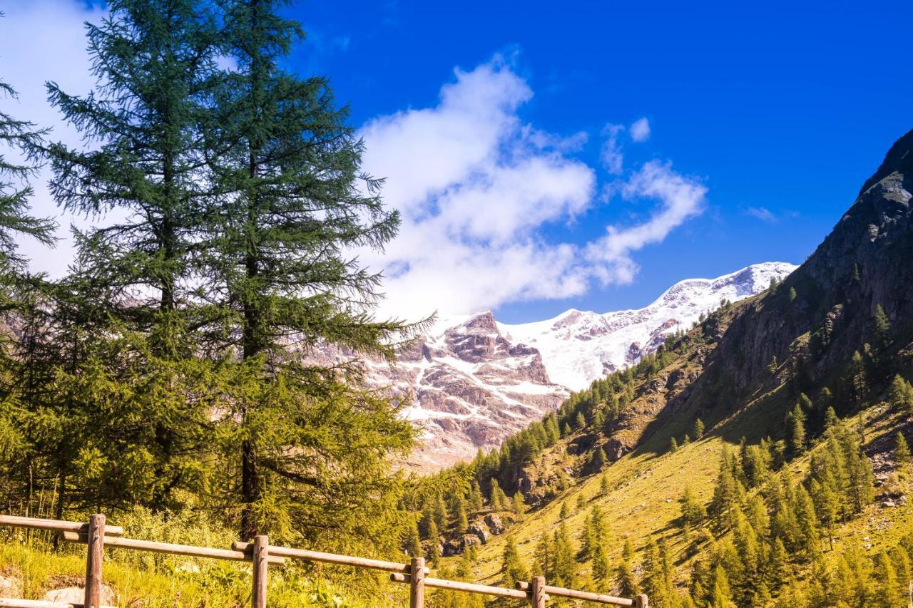 Alta Luce Mountain Lodge Gressoney-la-Trinité Zewnętrze zdjęcie