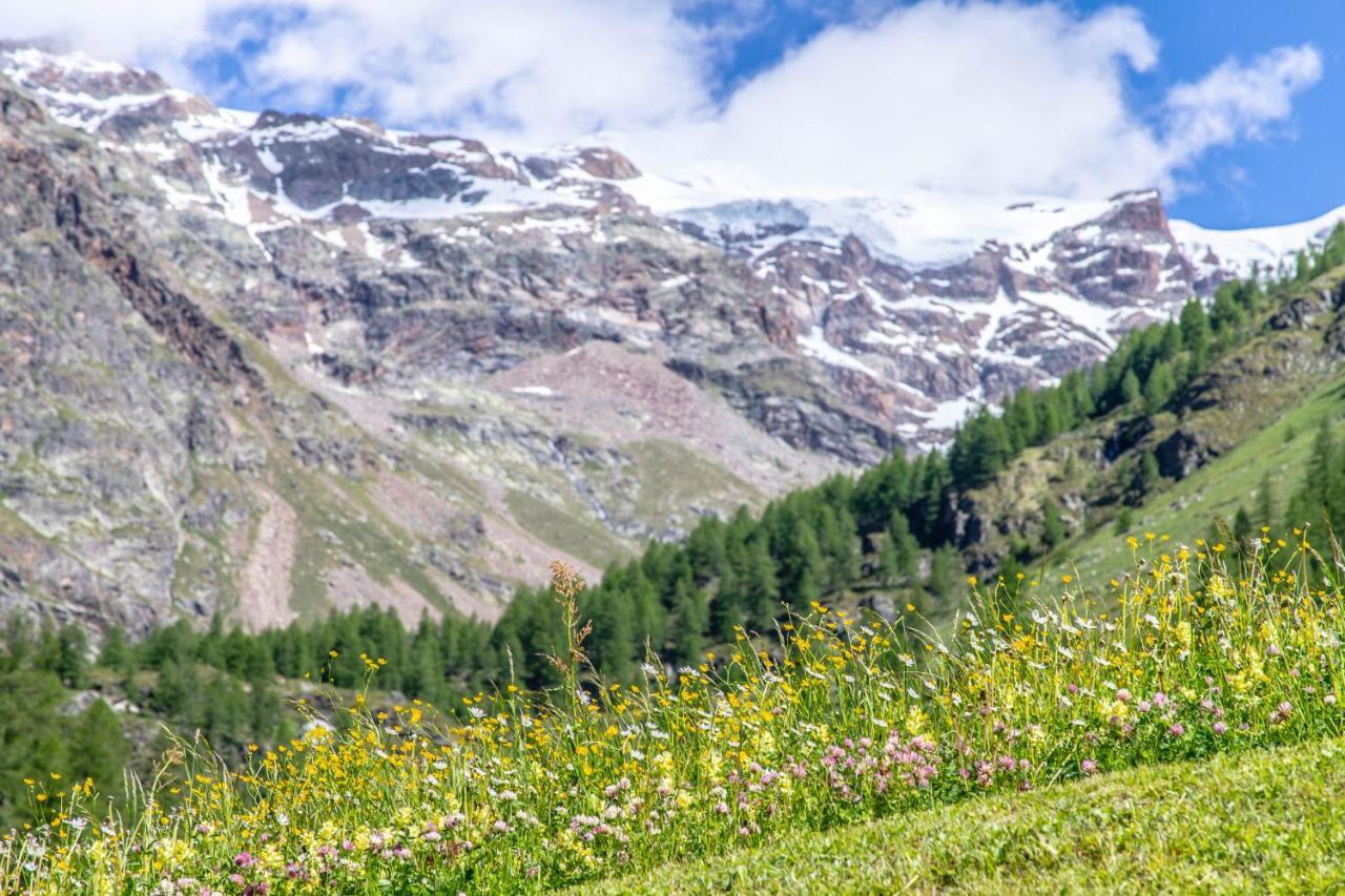 Alta Luce Mountain Lodge Gressoney-la-Trinité Zewnętrze zdjęcie